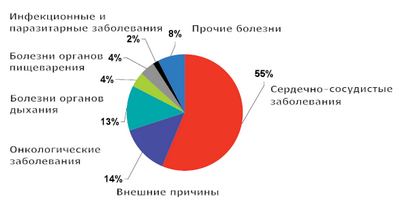 риск